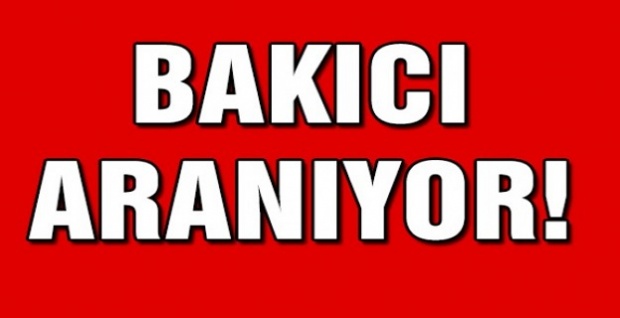 BAKICI ARANIYOR