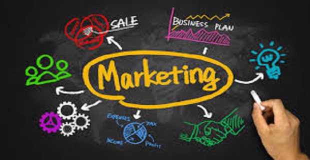 Digital marketing işinde Tecrübeli eleman aranıyor